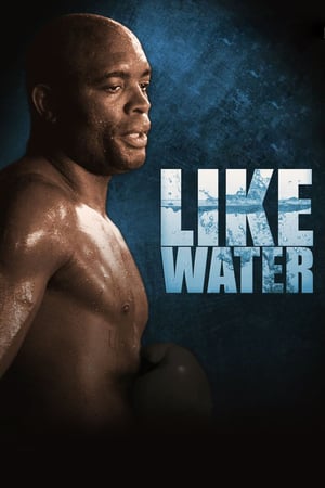 Like-Water-2011