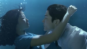 o4CwwvRYwsKB9Krdozwc5fAK9mT